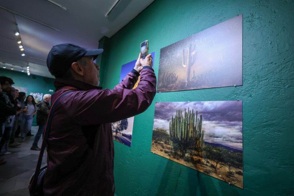 'Centinelas del Tiempo' exhibe 15 fotografías ganadoras y finalistas 8 Centinelas del tiempo exhibe 15 imágenes de árboles