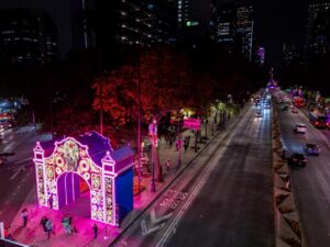 Cempasúchil, xolos y ajolotes en la Reforma iluminada 6 Cempasúchil Flores, xolos y ajolotes en la Reforma iluminada
