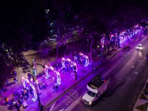 Cempasúchil, xolos y ajolotes en la Reforma iluminada 7 Cempasúchil Flores, xolos y ajolotes en la Reforma iluminada