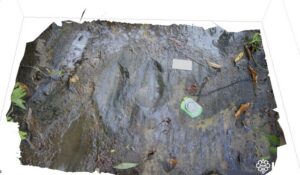 Raptores, picos de pato… y algo más grande en Apatzingán 7 Habitantes de San Juan de los Plátanos, en Michoacán, descubren huellas de dinosaurios carnívoros y herbívoros que datan del Cretácico, hace 66 millones de años en Apatzingán