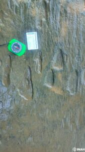 Raptores, picos de pato… y algo más grande en Apatzingán 9 Habitantes de San Juan de los Plátanos, en Michoacán, descubren huellas de dinosaurios carnívoros y herbívoros que datan del Cretácico, hace 66 millones de años en Apatzingán